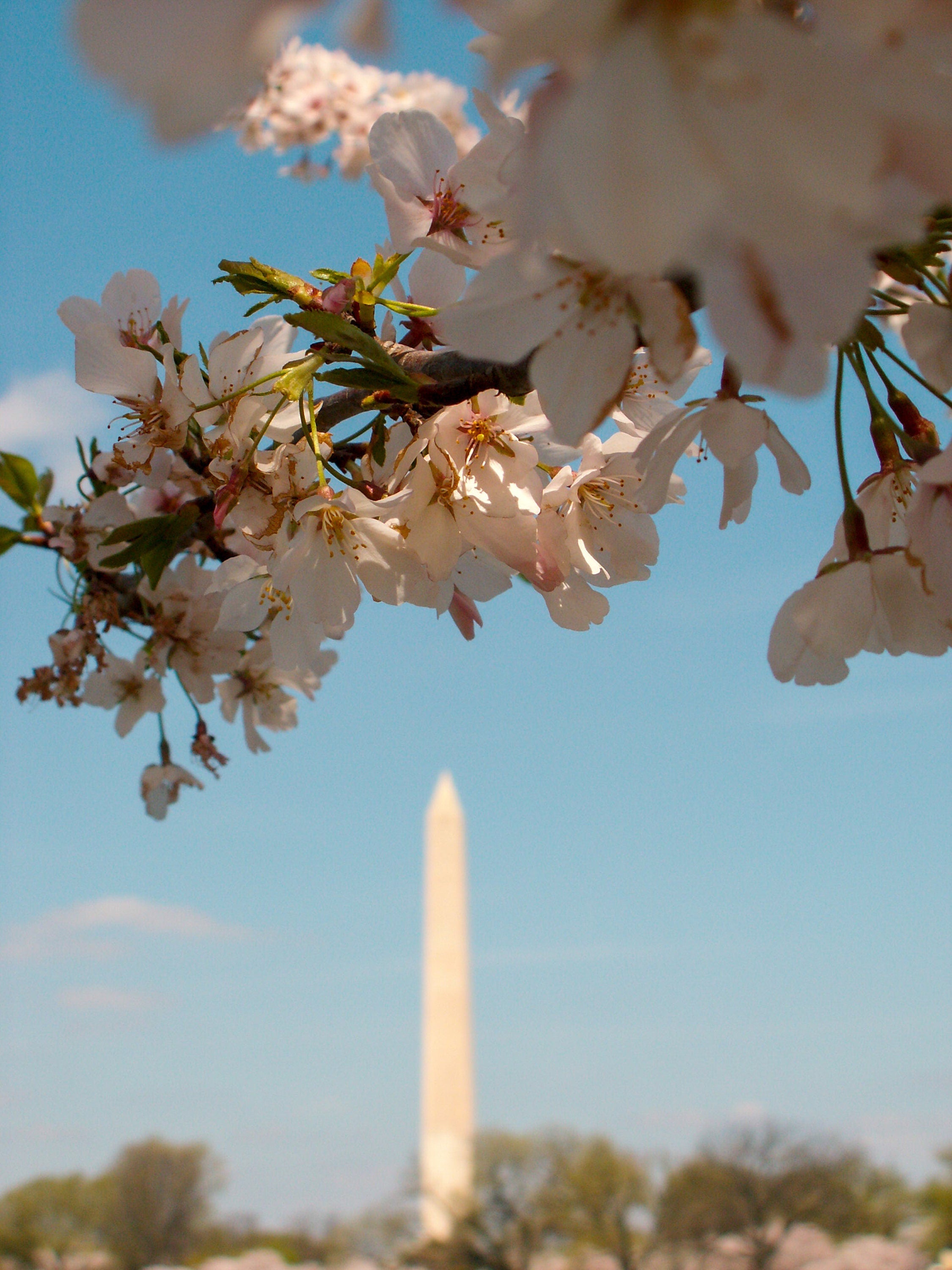 Washington, DC