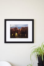 2 Elephants in Thailand Photo Print