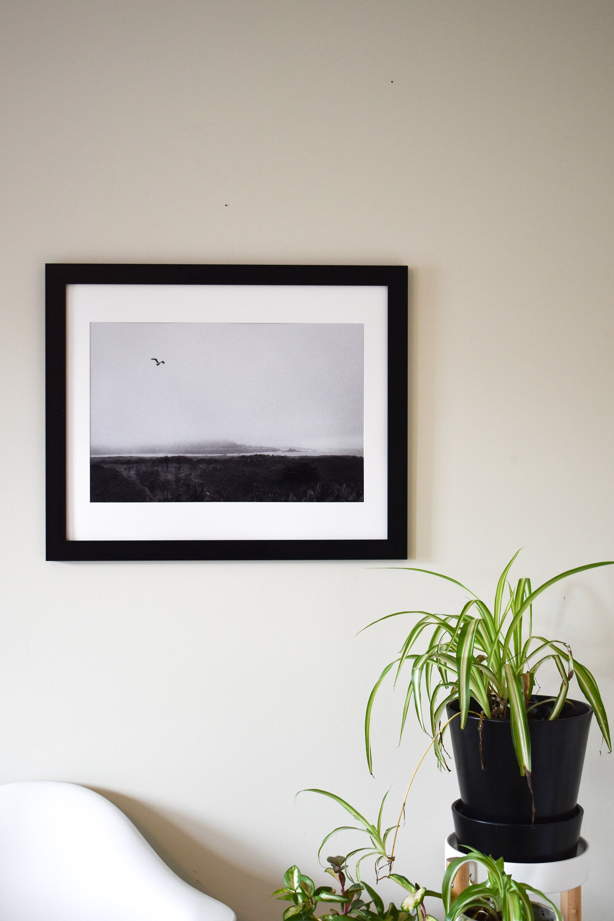 Bird Flying Over Mendocino Cliffs