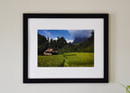 Laos Rice Field Photo Print: Southeast Asia Landscape Wall Art