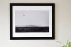 Bird Flying Over Mendocino Cliffs