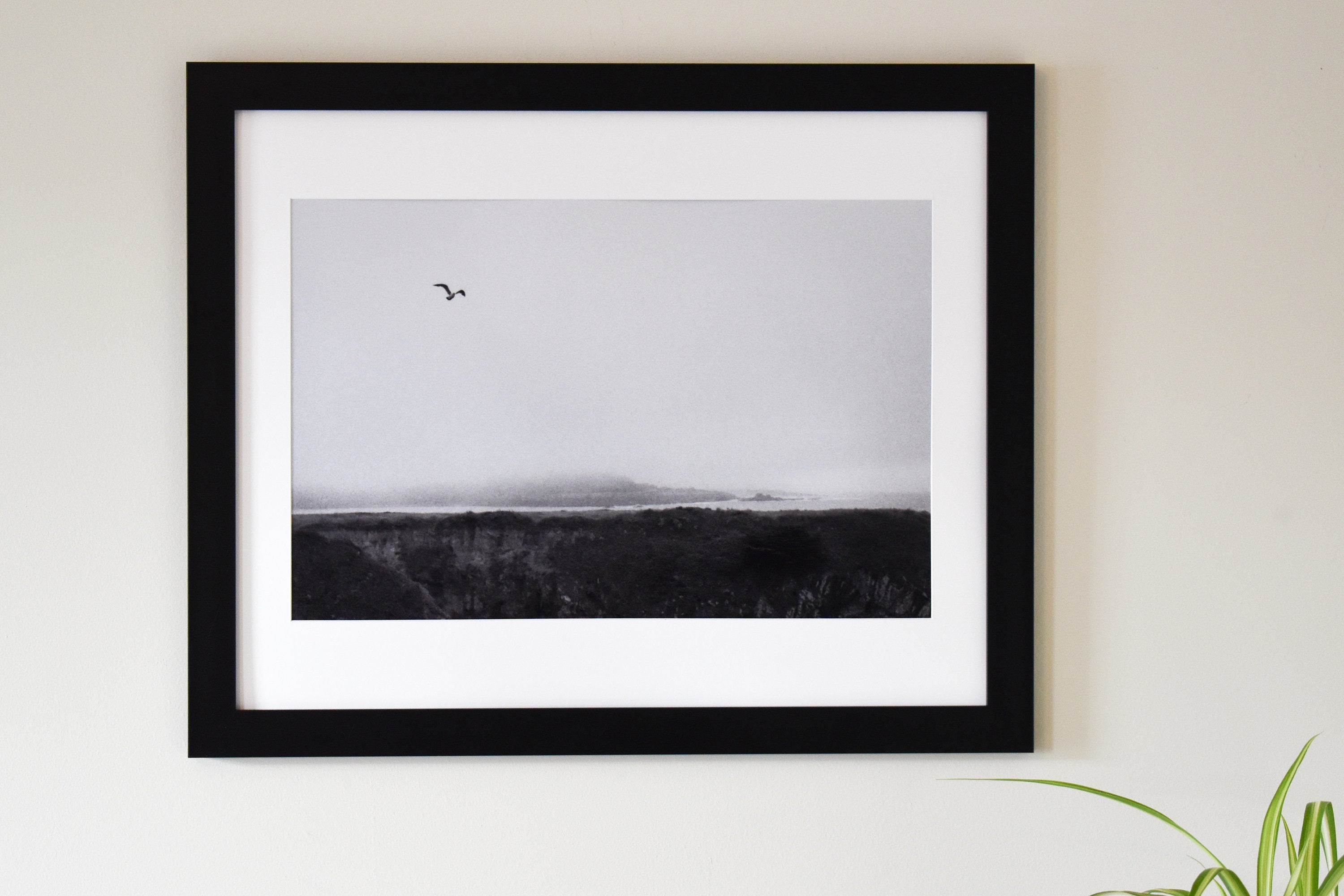 Bird Flying Over Mendocino Cliffs