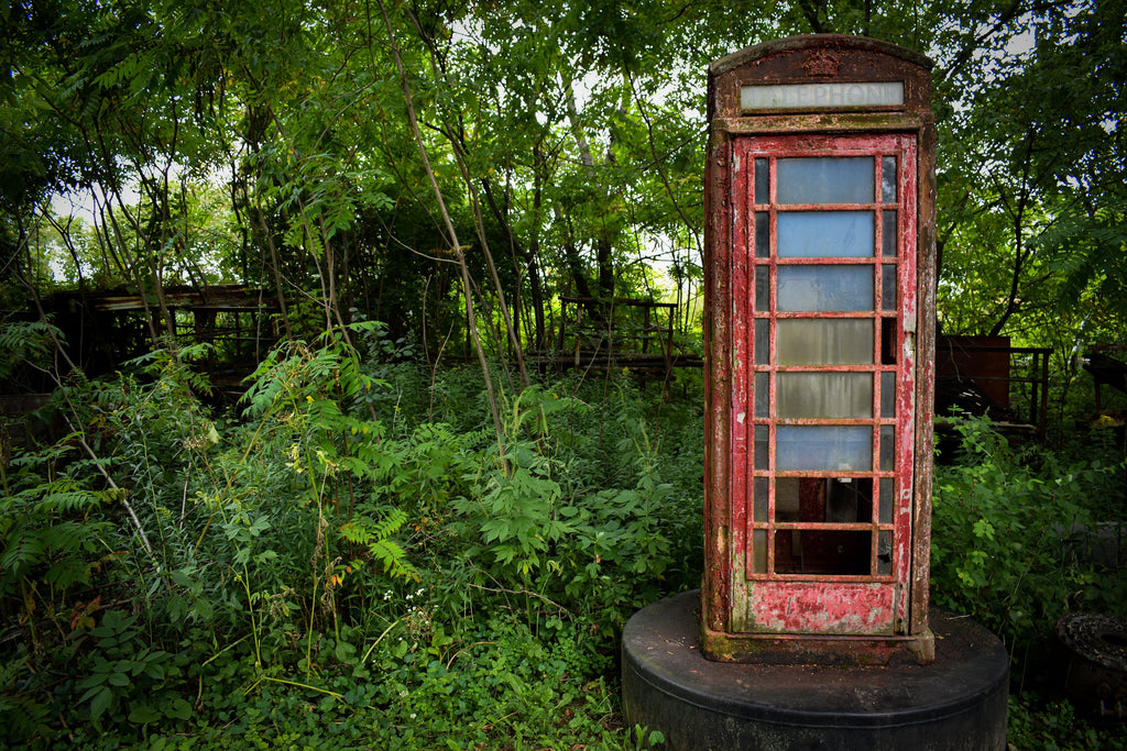 London Phone Booth in a Wisconsin Forest