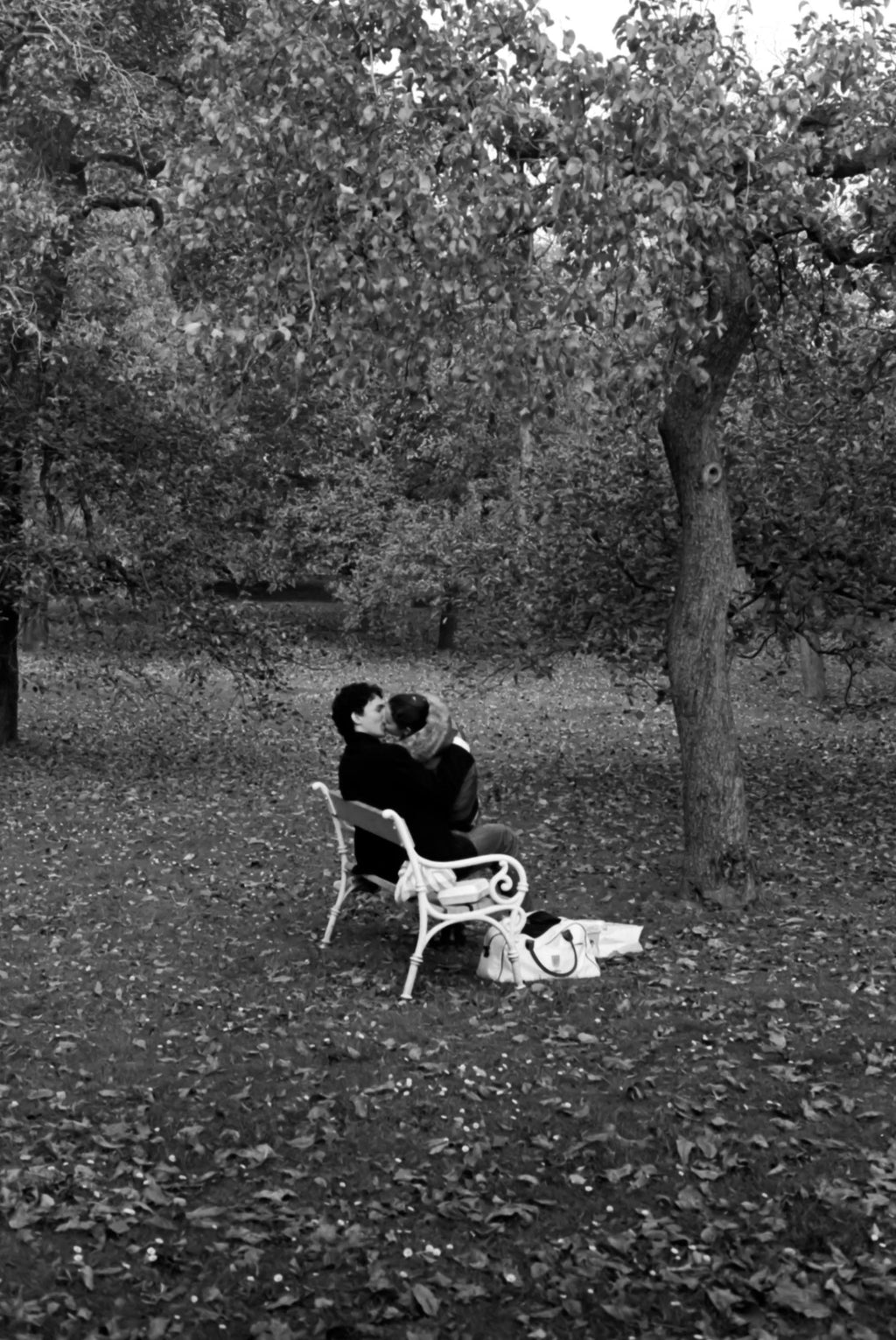 A Couple's Kiss in Prague