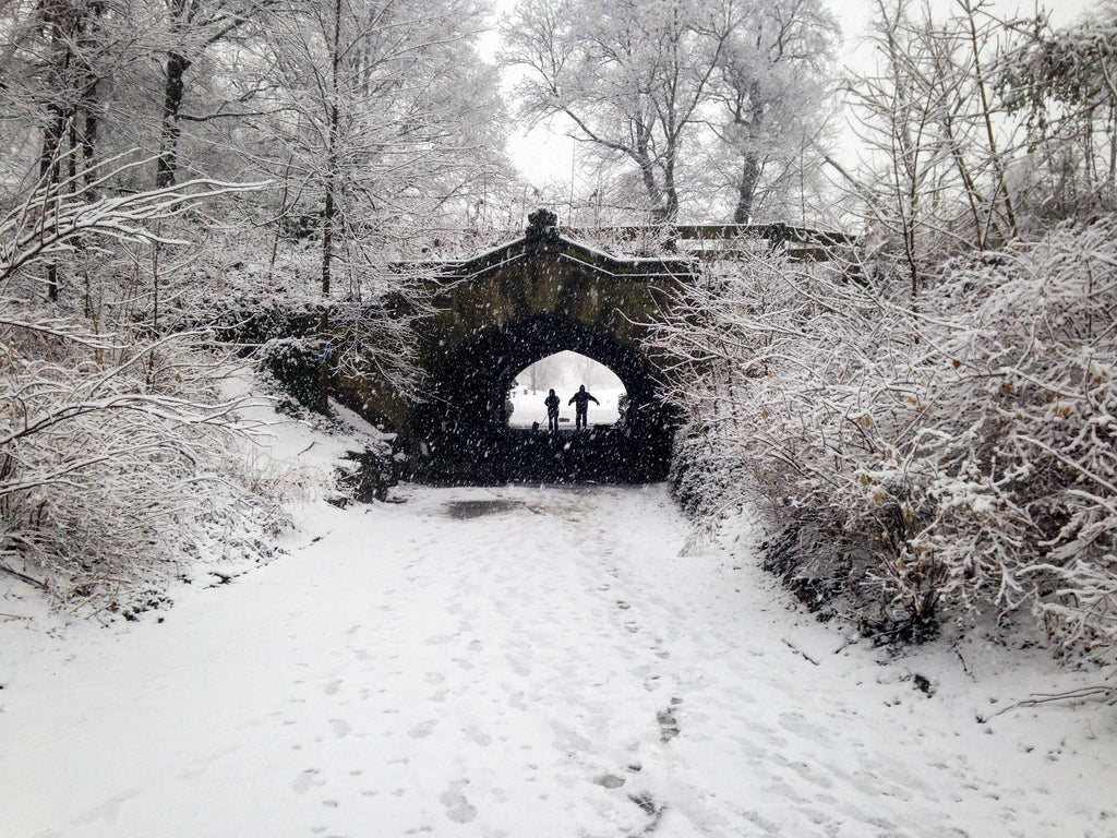 Snow in Brooklyn's Prospect Park