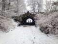 Snow in Brooklyn's Prospect Park