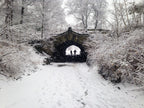 Snow in Brooklyn's Prospect Park