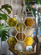 Stained Glass Plant Propagation Station (Yellows)