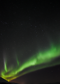 Northern Lights Photo in Green (Vertical)