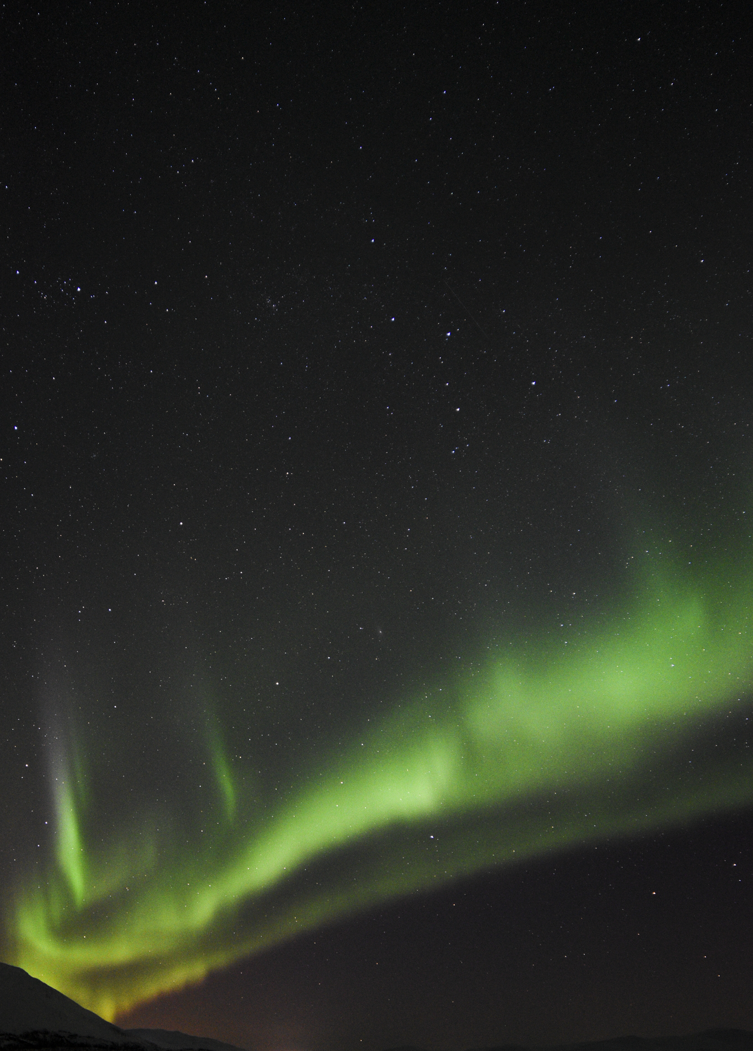 Northern Lights Photo in Green (Vertical)