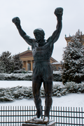 Rocky in the Snow