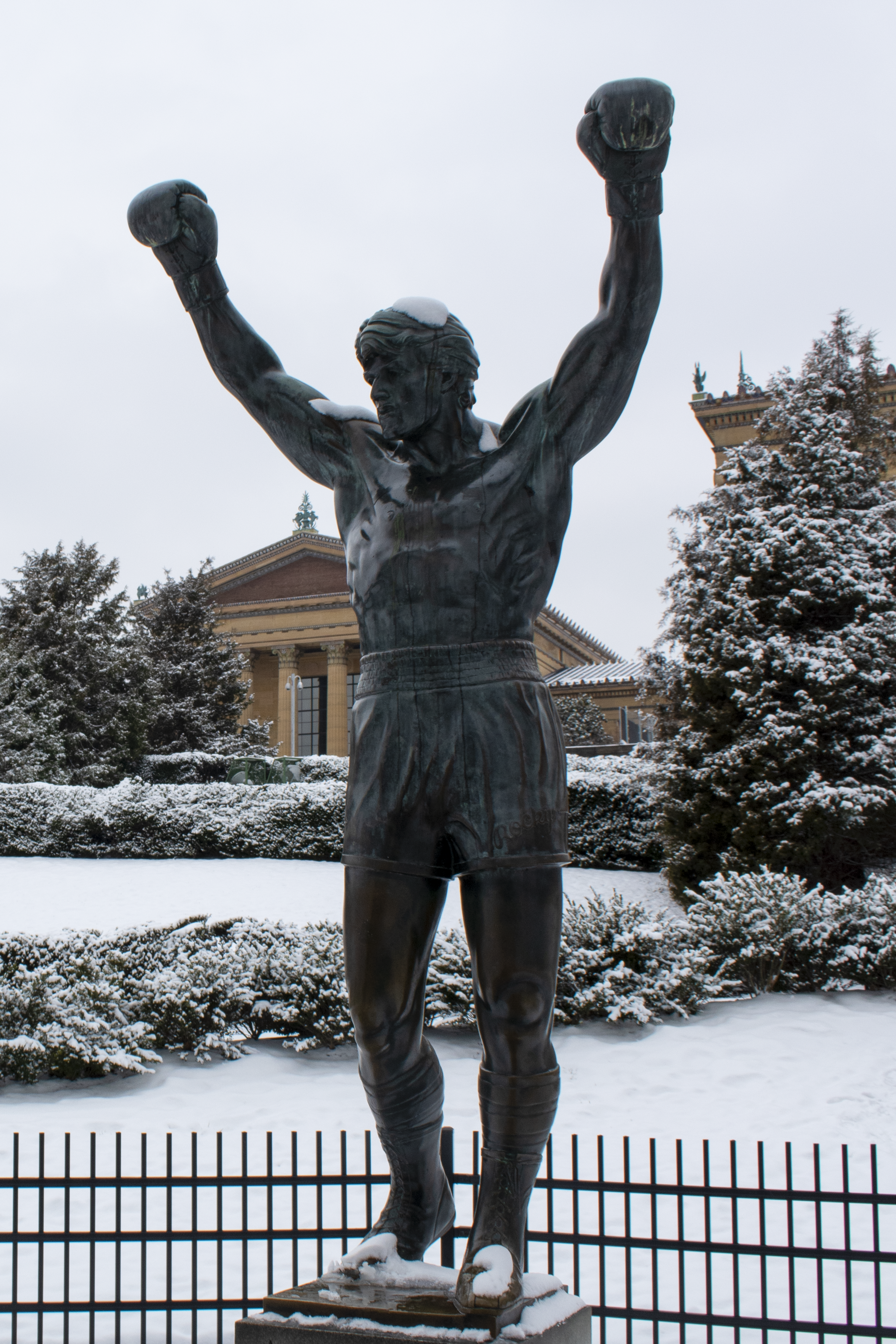 Rocky in the Snow