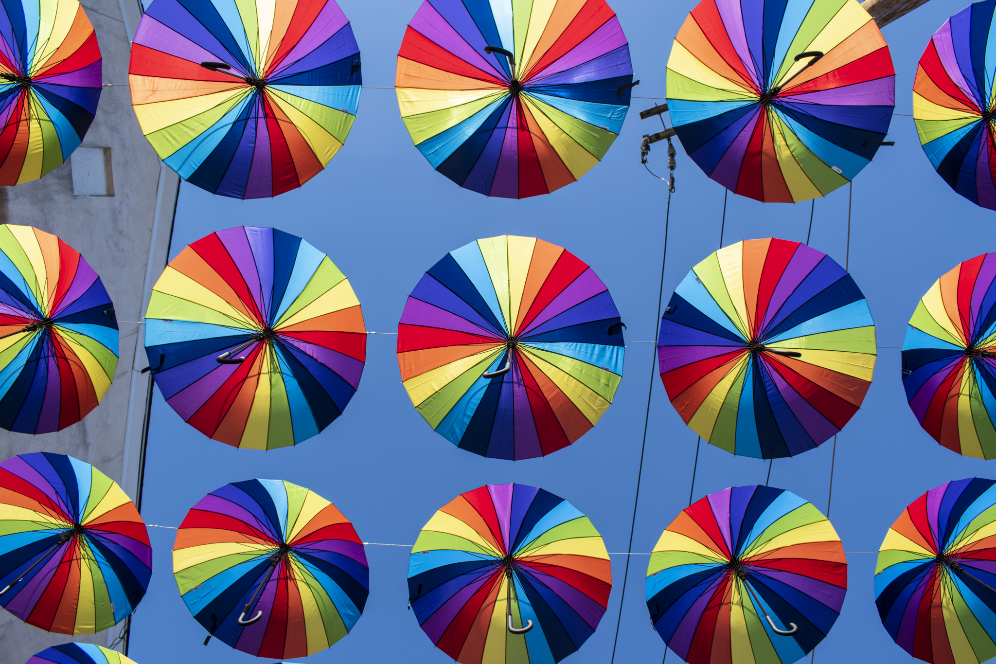 Pride Rainbow Umbrellas Over a Street