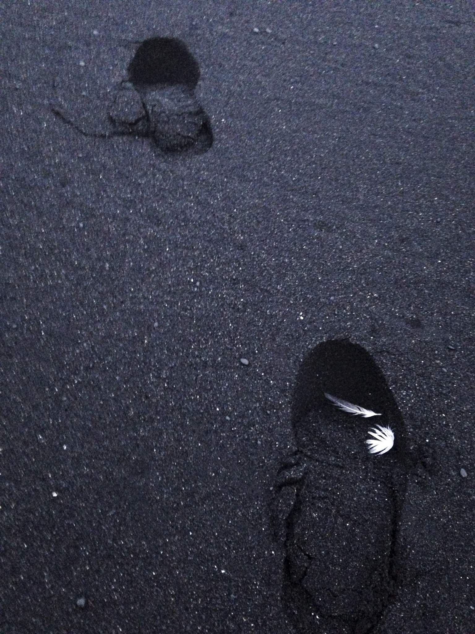 Footprints on Iceland's Black Sand Beach
