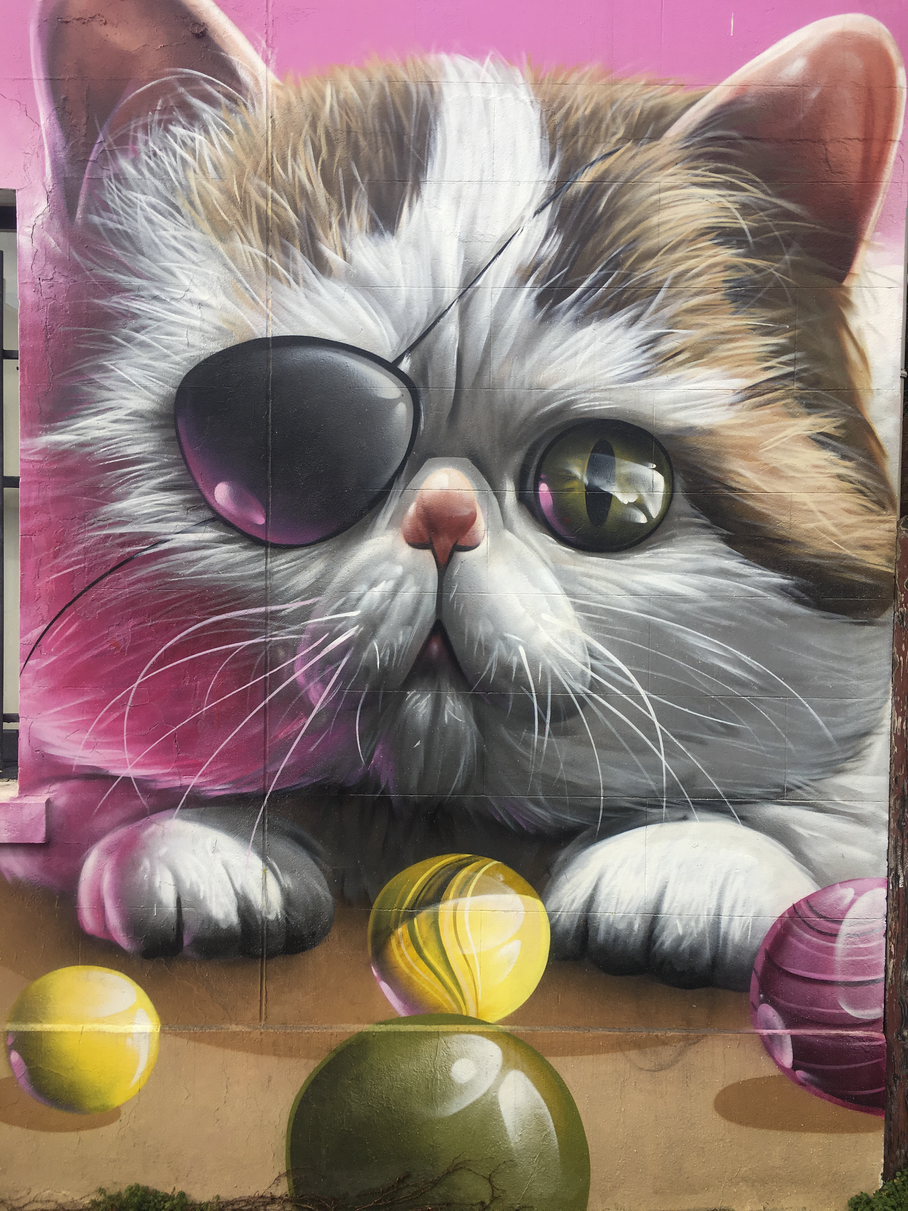 Cat's Eye Street Art
