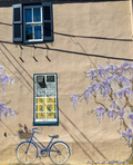 Bike Mural in Sydney, Australia