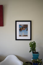 DC Cherry Blossoms with Washington Monument Photo Print