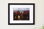 2 Elephants in Thailand Photo Print