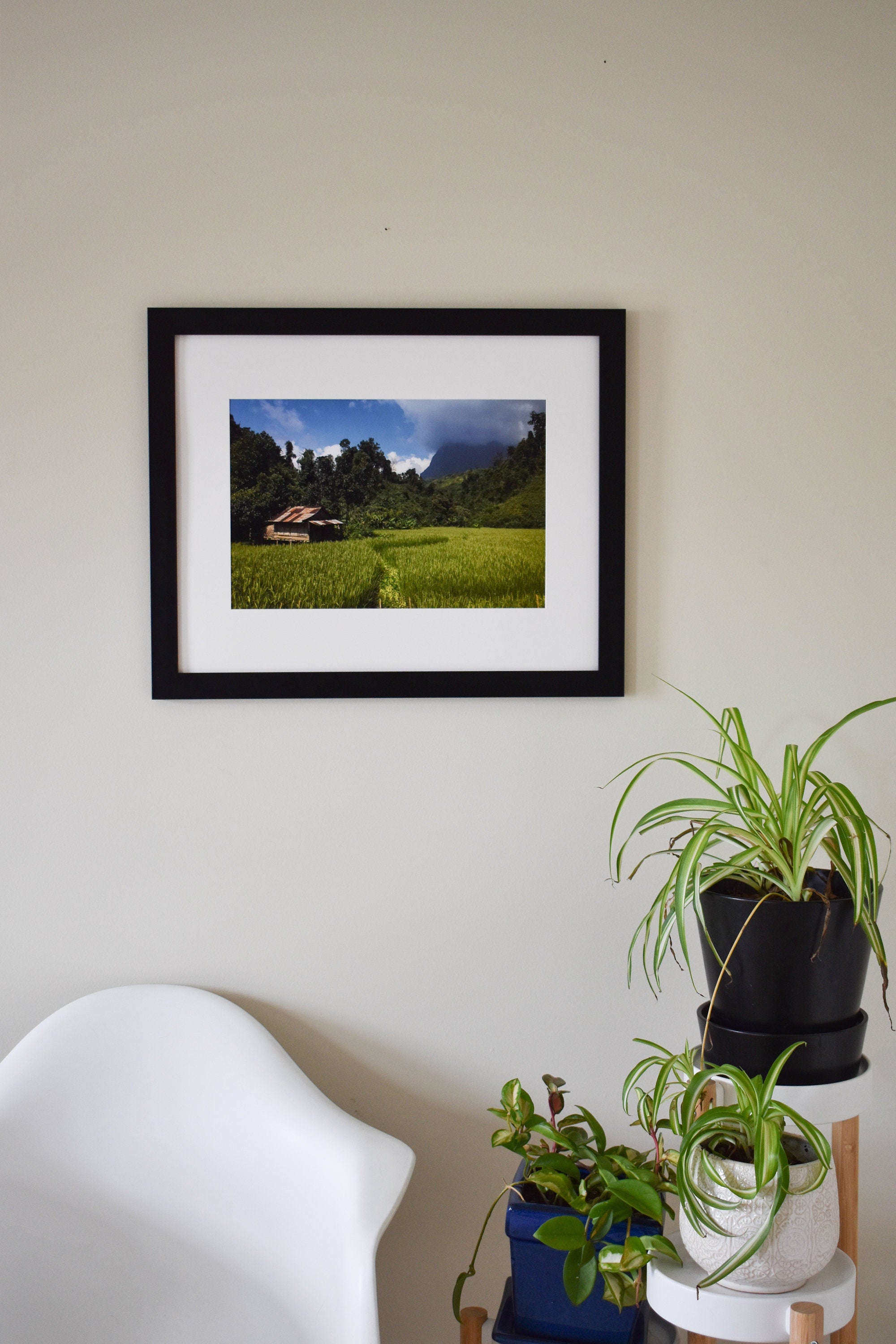 Laos Rice Field Photo Print: Southeast Asia Landscape Wall Art