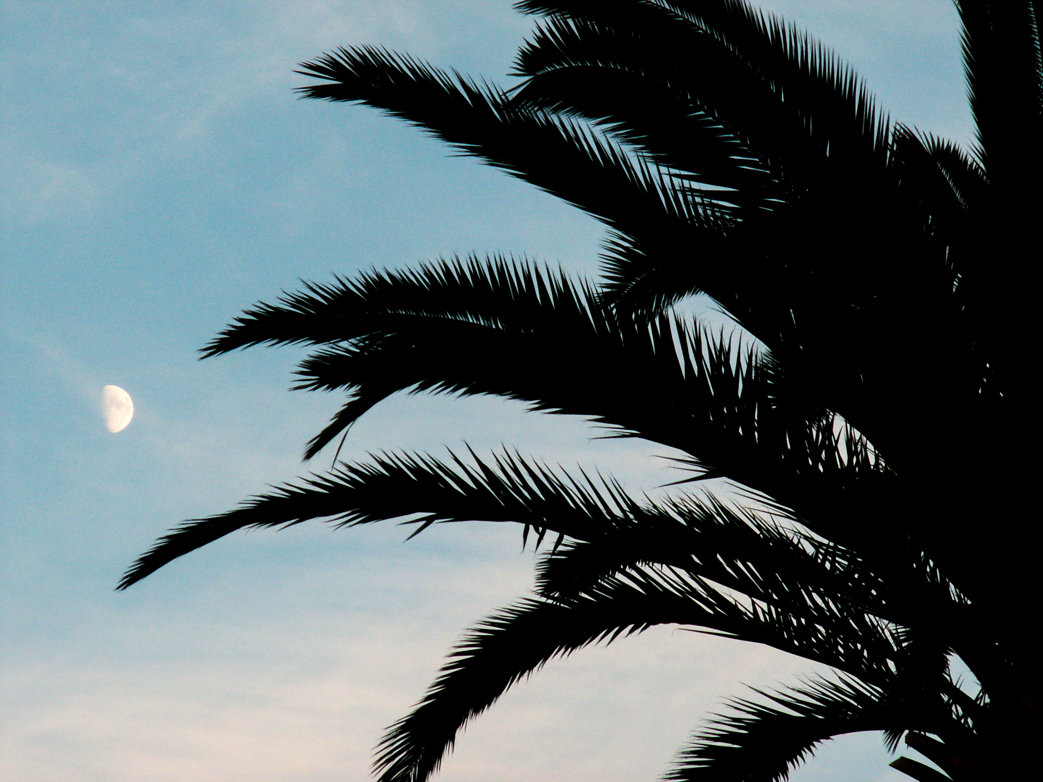 Moonrise in Monaco