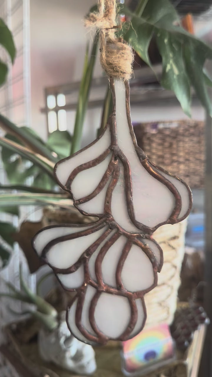 Stained Glass Garlic Braid