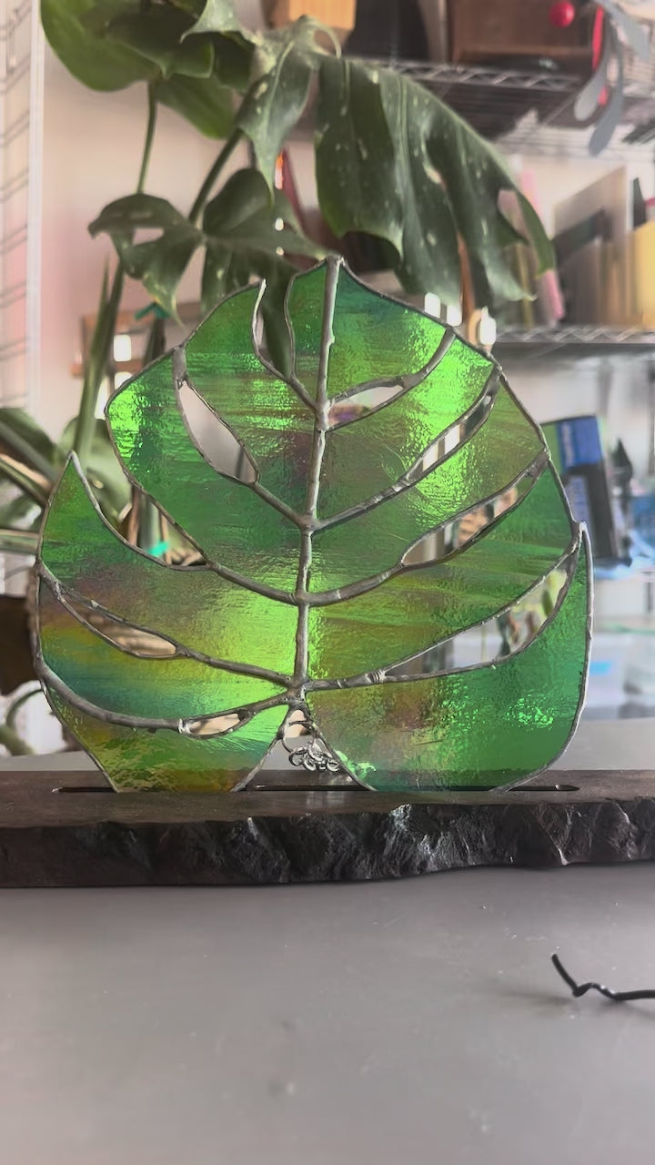 Stained Glass Monstera Leaf in Dichroic Green